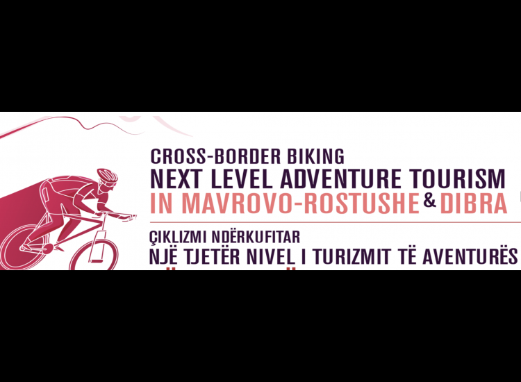 News & Activities
