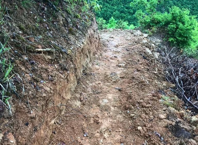 Trail Construction