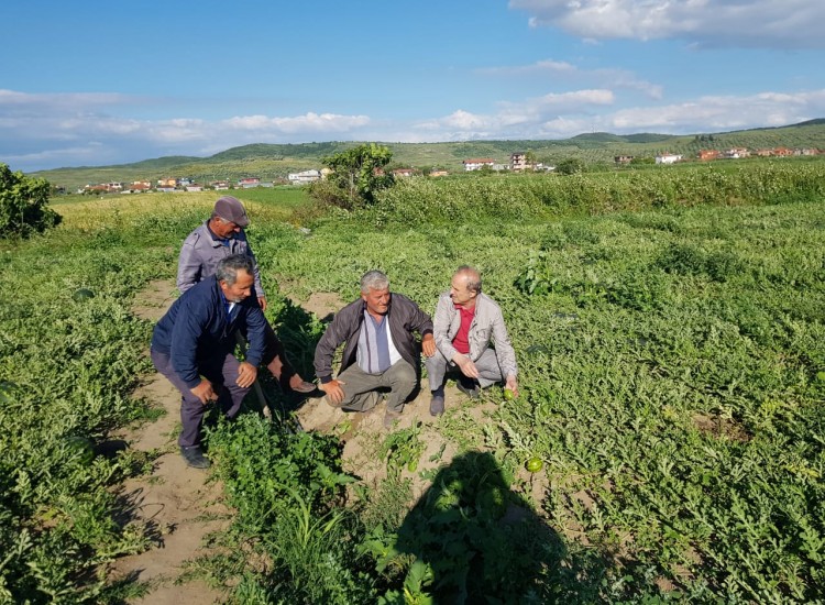 Second Training "Farm Waste Composting" under the BEAIA Project