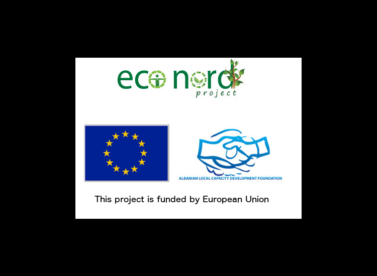 Call for Proposals Local Initiative Fund
