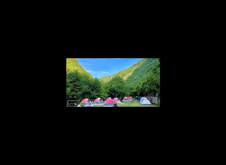 Butterfly camping