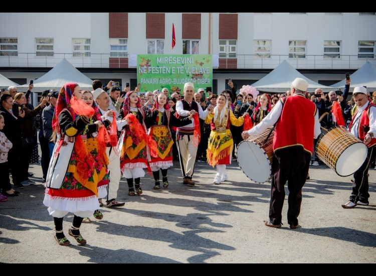 "Harvest Festival" was held in Peshkopi, a fair showcasing t...