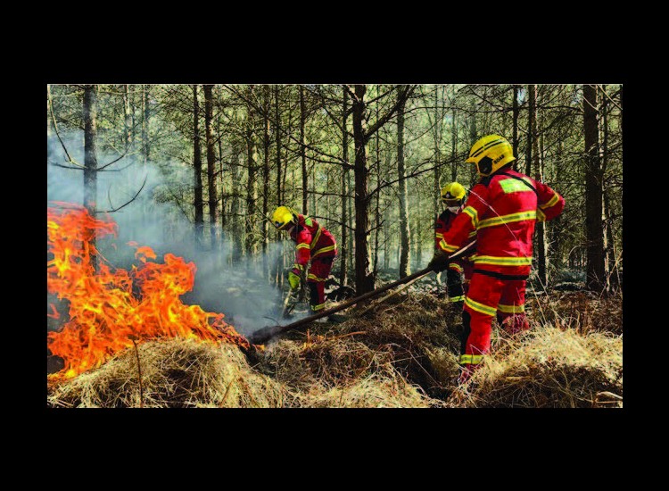 Practical Guide for Fire Protection