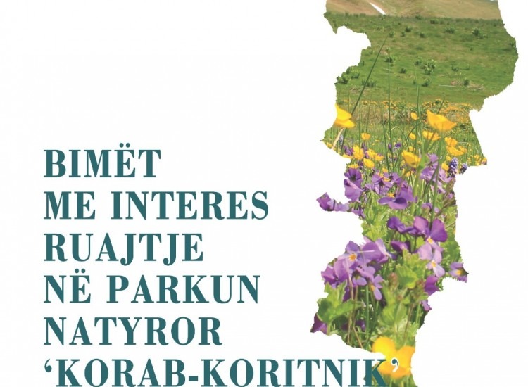 Plants of Conservation Interest in Korab–Koritnik Natural Park.