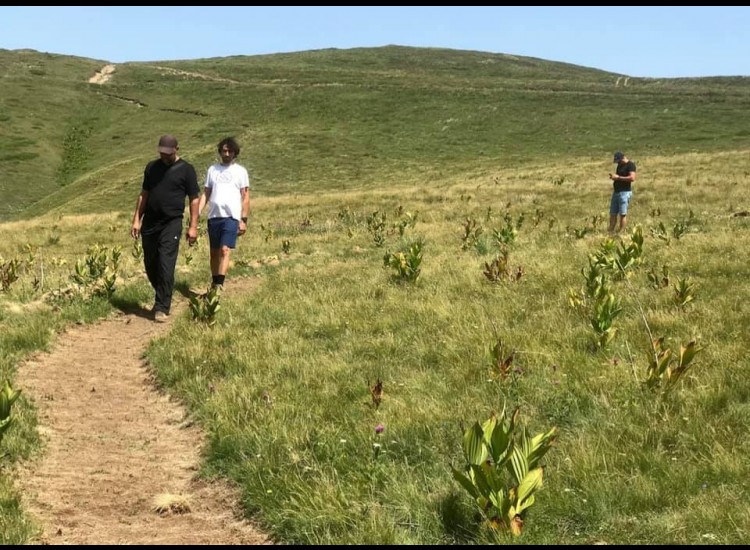 Supervision of Works on Trails No. 3 (Hinoskë - Rabdisht Trail and Trail No. 4 Hinoskë-Ilnicë - Melan)