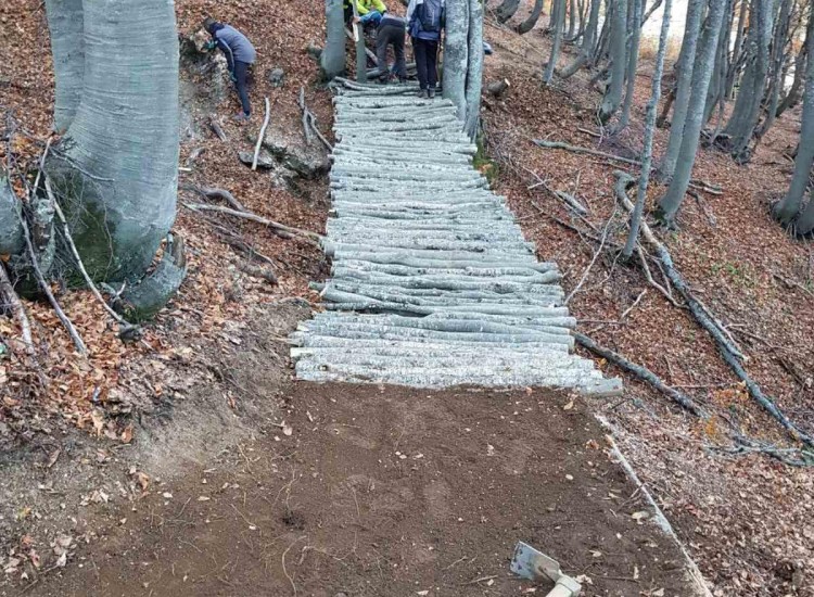 Volunteer Trail Building Macedonia