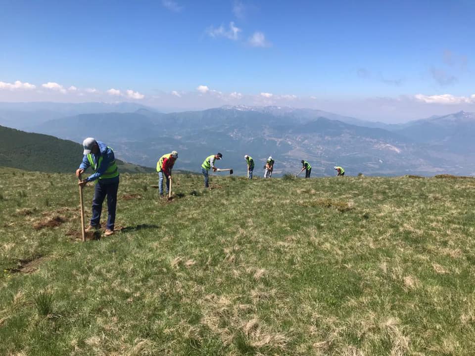 Trails in Albania