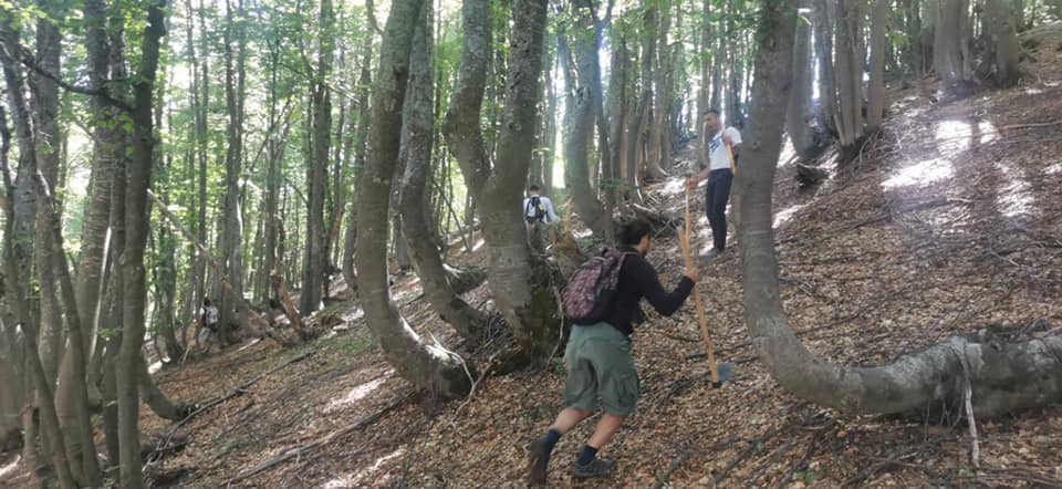 Trails in Macedonia