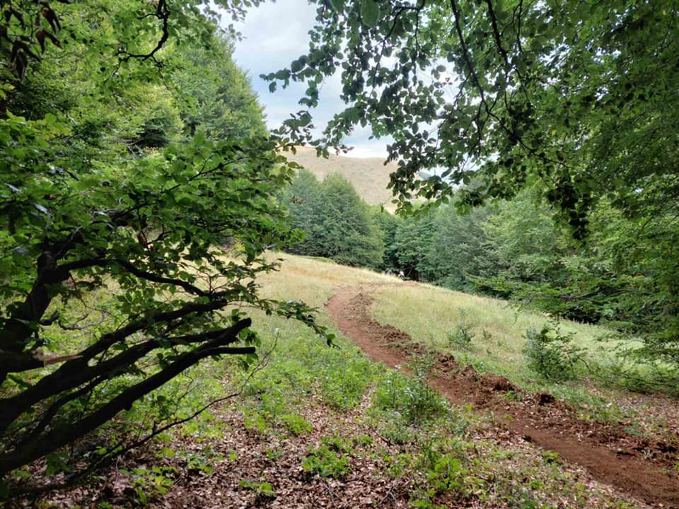Trails in Macedonia