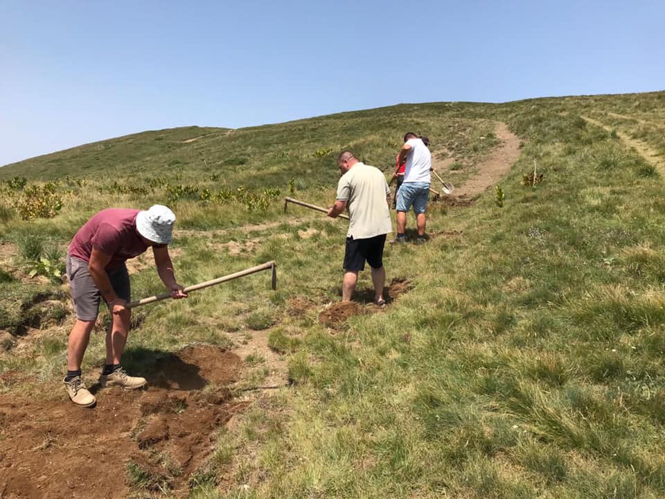 Volunteer Trail Building