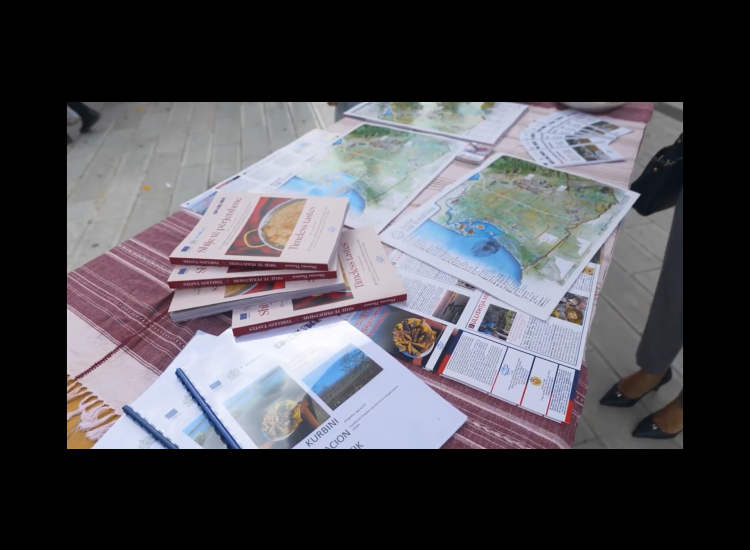News & Activities