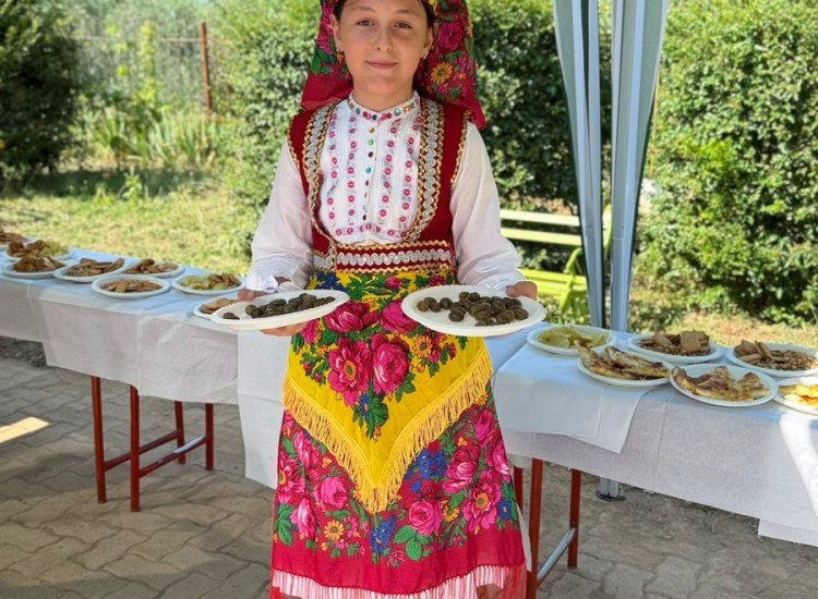 News & Activities
