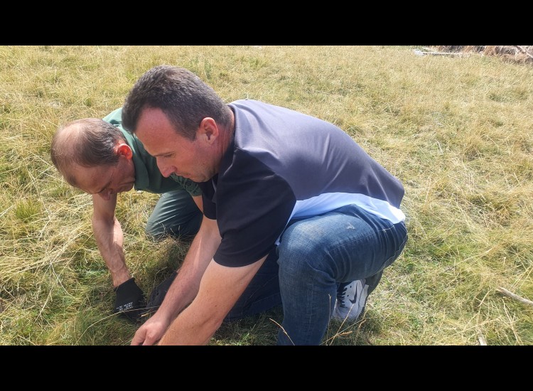 Research Assessment of the Condition and Productivity of Pastures in the Korab-Koritnik Protected Zone