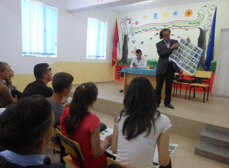 News & Activities