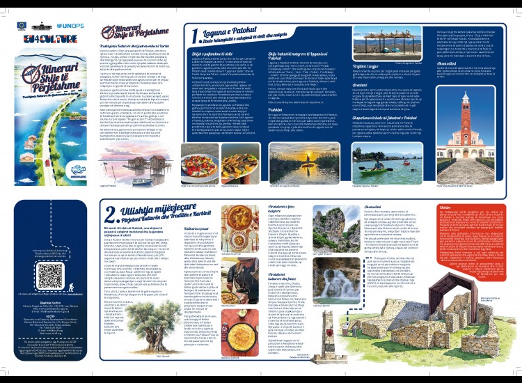 News & Activities