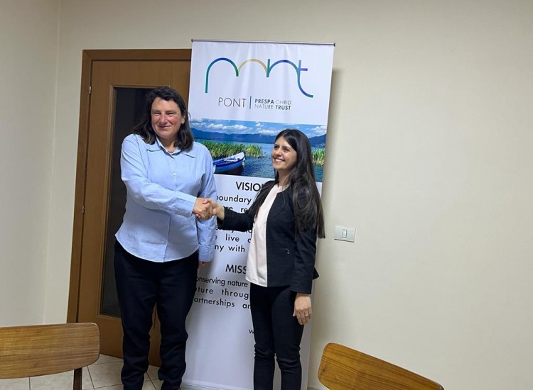 News & Activities