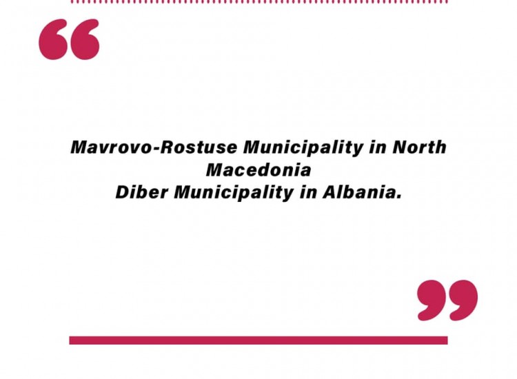 News & Activities